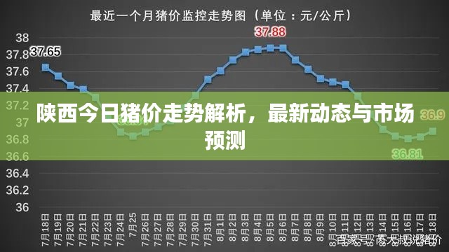 陕西今日猪价走势解析，最新动态与市场预测