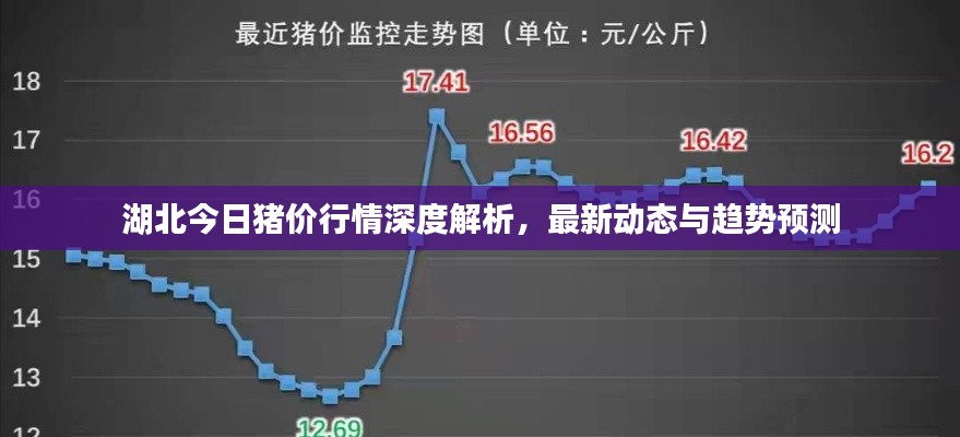 湖北今日猪价行情深度解析,最新动态与趋势预测