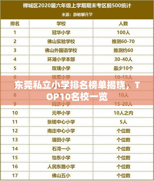 东莞私立小学排名榜单揭晓,TOP10名校一览