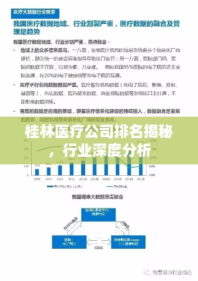 桂林医疗公司排名揭秘，行业深度分析