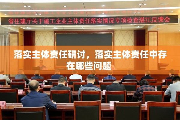 落实主体责任研讨,落实主体责任中存在哪些问题