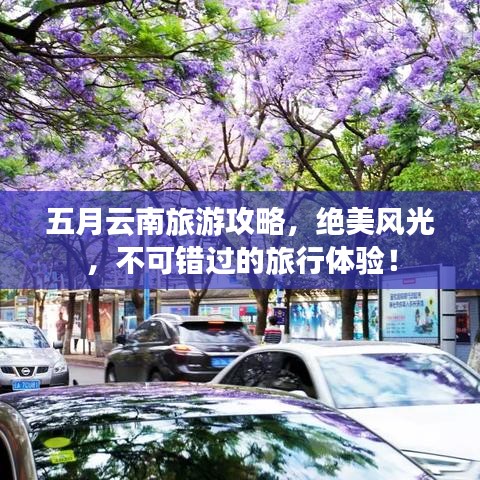 五月云南旅游攻略,绝美风光,不可错过的旅行体验!