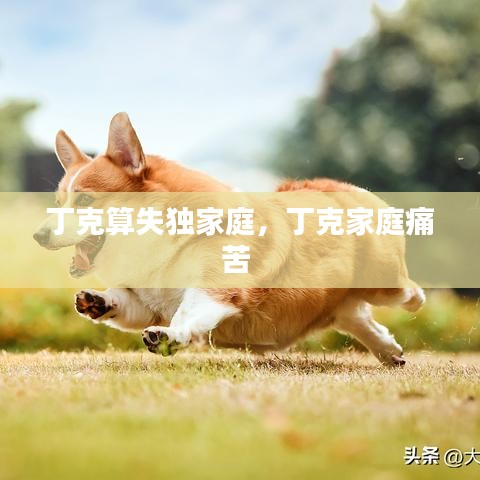 丁克算失独家庭,丁克家庭痛苦