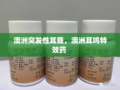 诚心诚意 第2页