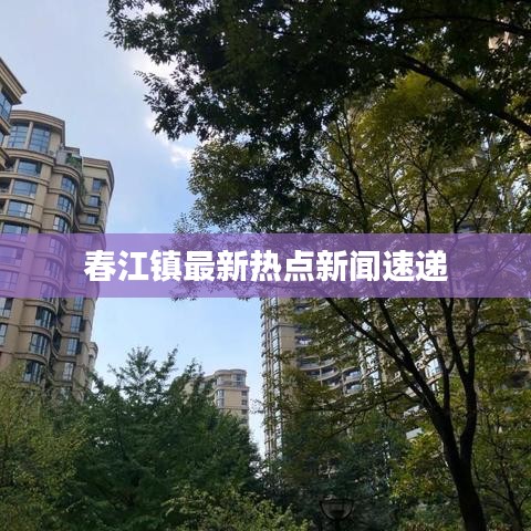 春江镇最新热点新闻速递