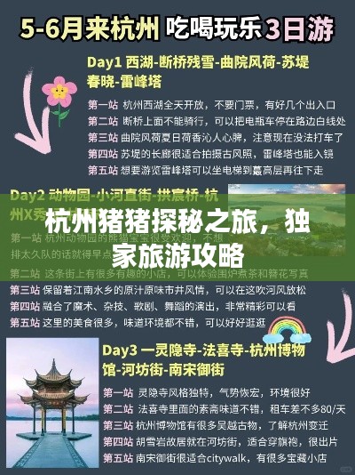 杭州猪猪探秘之旅，独家旅游攻略