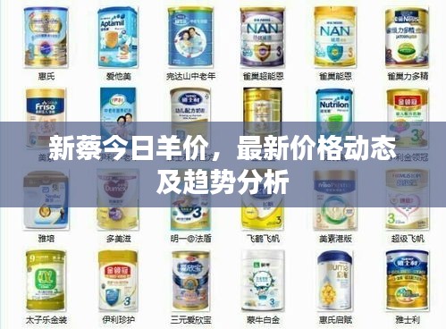 新蔡今日羊价，最新价格动态及趋势分析