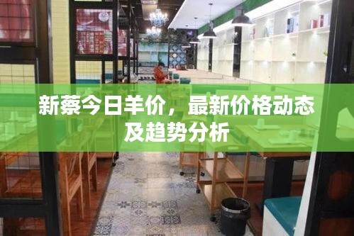 新蔡今日羊价,最新价格动态及趋势分析