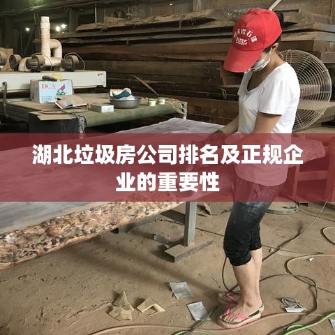 湖北垃圾房公司排名及正规企业的重要性