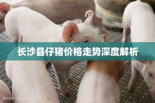 螓首蛾眉 第2页