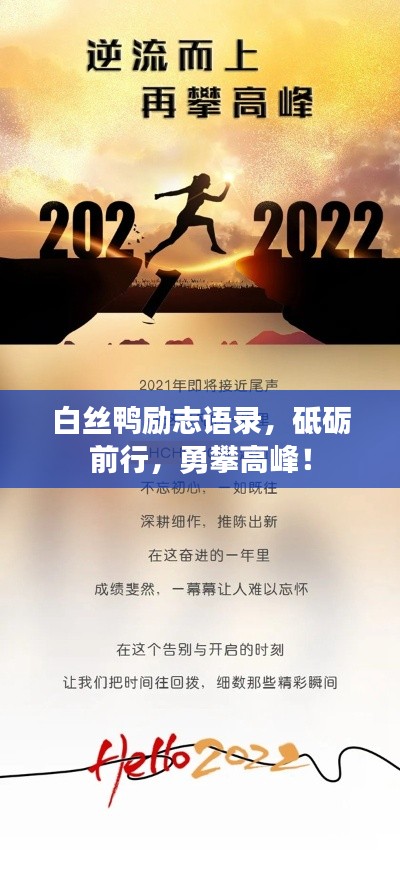 白丝鸭励志语录，砥砺前行，勇攀高峰！