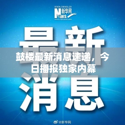鼓楼最新消息速递，今日播报独家内幕