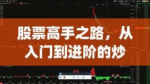 股票高手之路，从入门到进阶的炒股票策略全解析