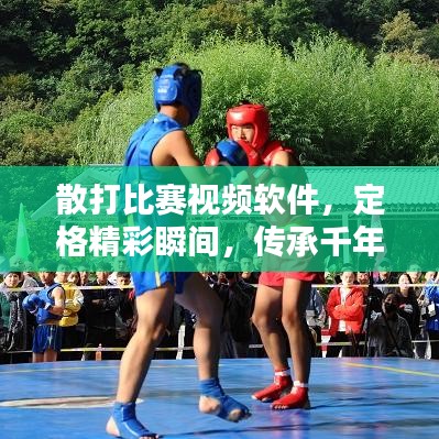 散打比赛视频软件,定格精彩瞬间,传承千年武术文化神韵