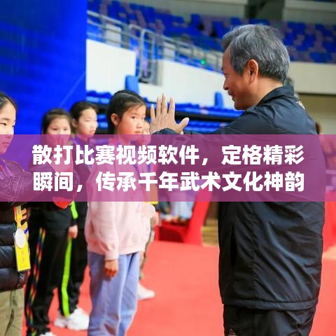 散打比赛视频软件,定格精彩瞬间,传承千年武术文化神韵